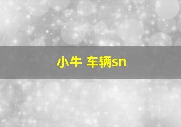 小牛 车辆sn